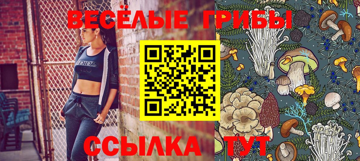 Псилоцибиновые грибы ЛСД Асбест