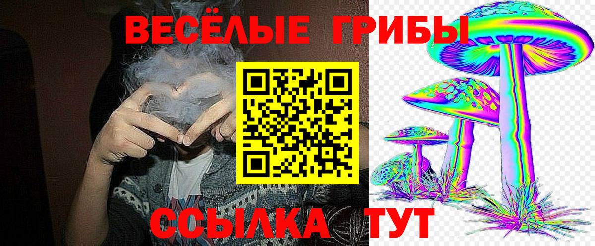 купить наркотик  Вход с VPN  Асбест  Галлюциногенные грибы GOLDEN TEACHER 